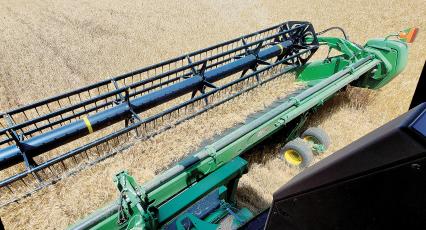 Blades on this combine owned by Nick Owen cut through wheat
